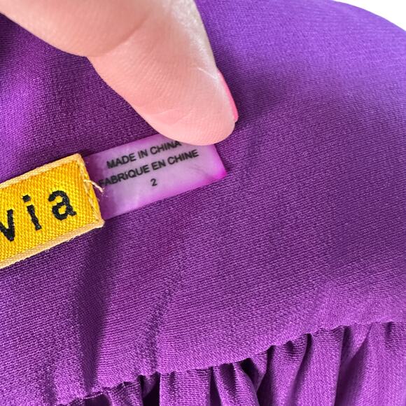 ALICE + OLIVIA Womens 2 Purple Chiffon Sleeveless Runnie Leather Back Maxi Dress - Picture 12 of 12